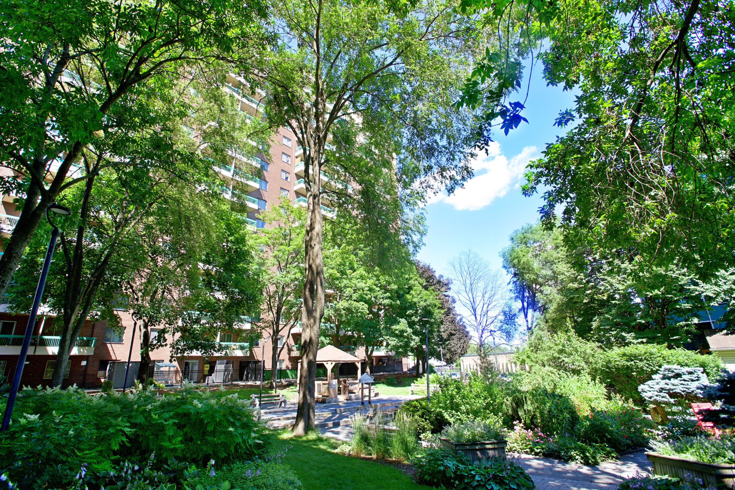 Jardins derrière la Tour Camélia